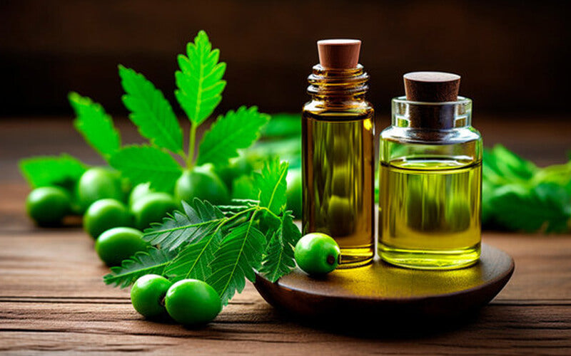benefits of neem for skin